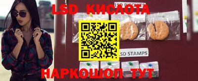 мдпв Заводоуковск