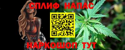 мдпв Заводоуковск