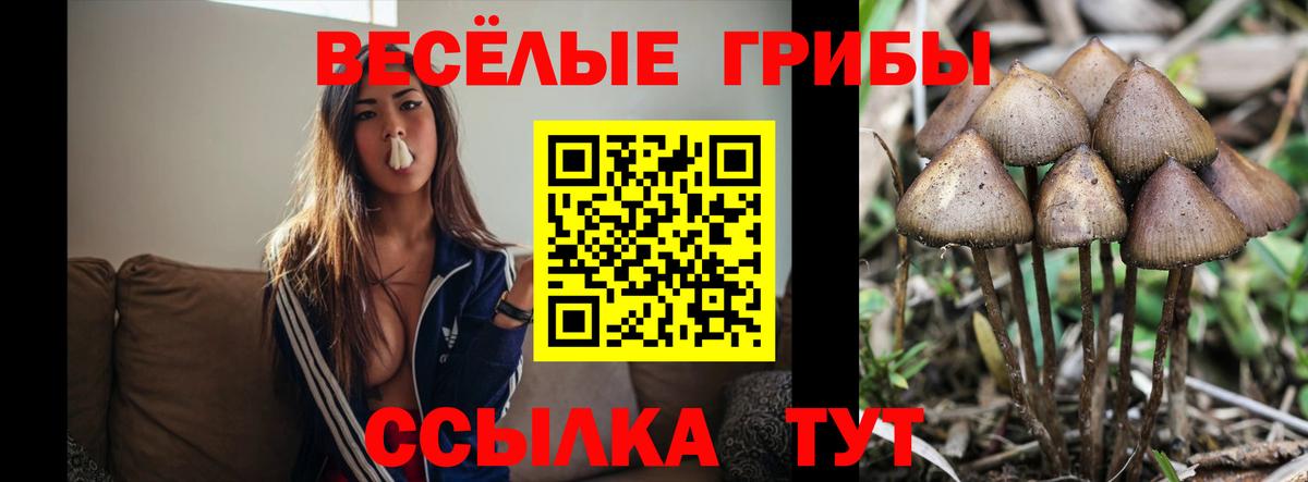 Комсомольск-на-Амуре  Псилоцибиновые грибы GOLDEN TEACHER  Вход с VPN 